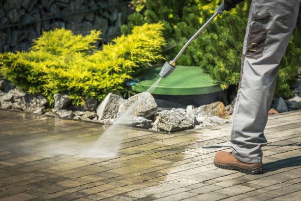 Best Winterizing Services  in New Smyrna Beach, FL